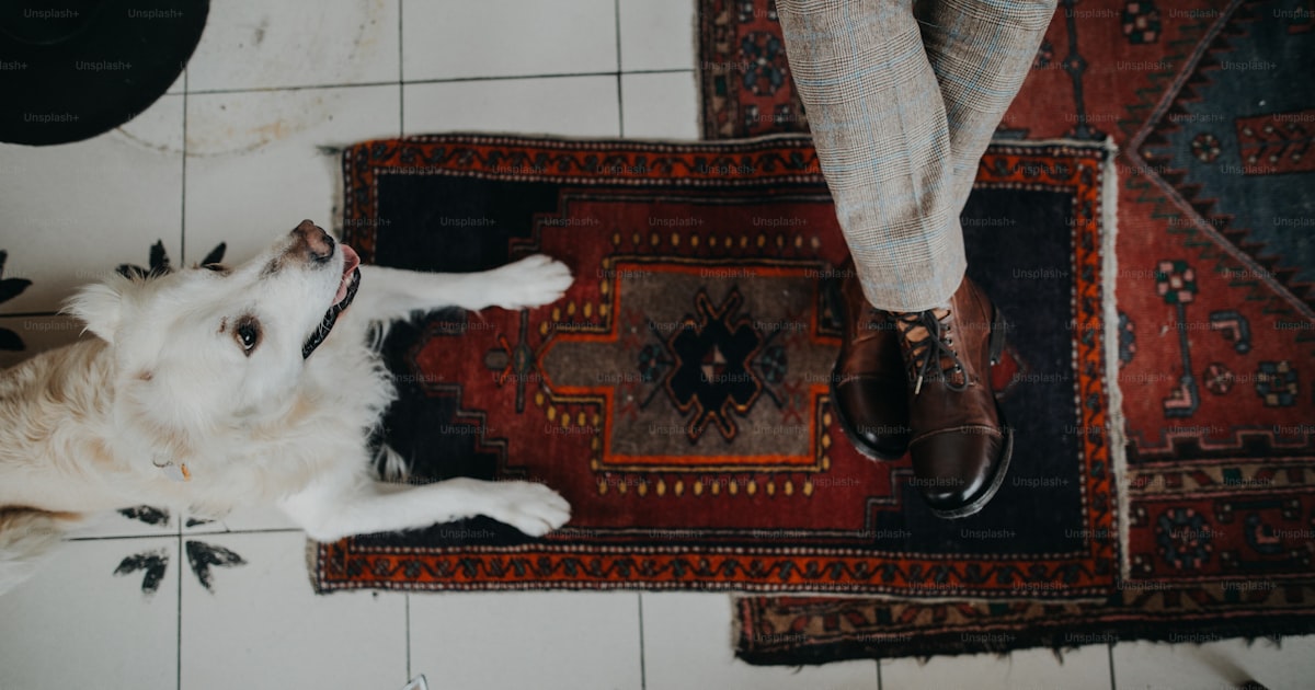 Large dog lying comfortably on a soft mat indoors